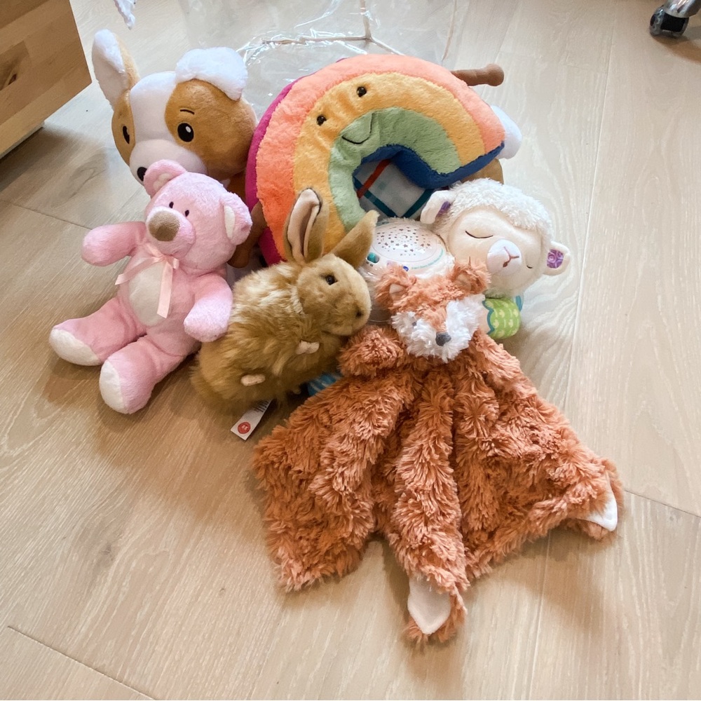 Plush Animal and Rainbow Toy Lot